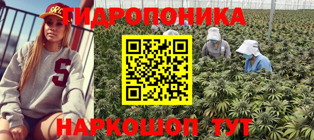 МАРИХУАНА планчик  Каннабис White Widow  Пугачёв  Вход с VPN 